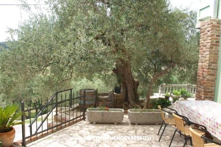 Ferienwohnungen Dumičić foto 2