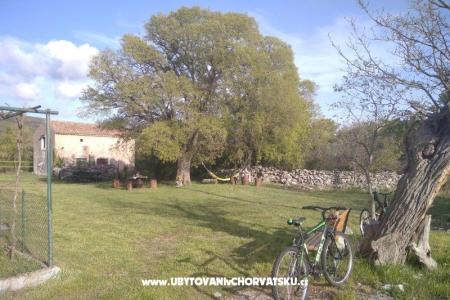 Traditional Istrian Haus ENI foto 4