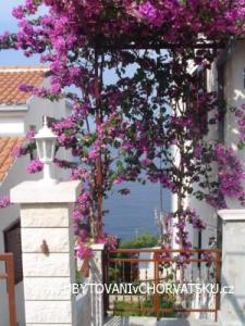 Appartements Lucija foto 4