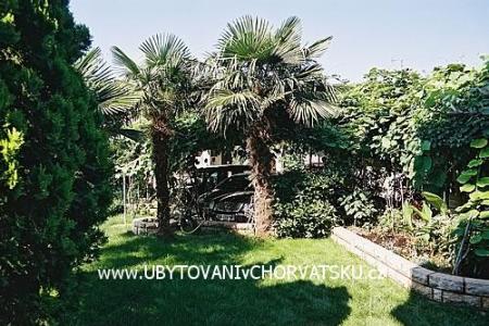 Ferienwohnungen BOS-KO foto 3