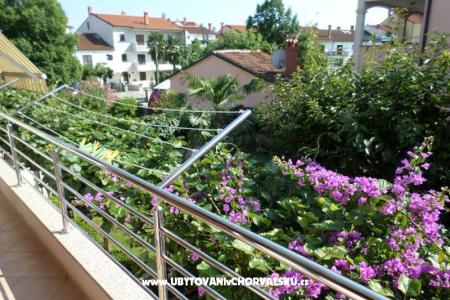 Ferienwohnungen Kamelia foto 3