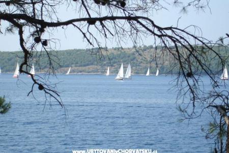 Appartements - Otok Lavdara foto 5