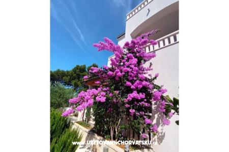 Appartements Pinea Sol foto 3