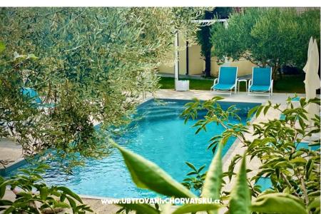 Villa Dube Slano/ villa mit Pool foto 4