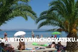 AMOR &amp; ŽANA foto 2