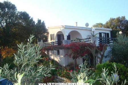 Villa Bepina Insel Solta Kroatien