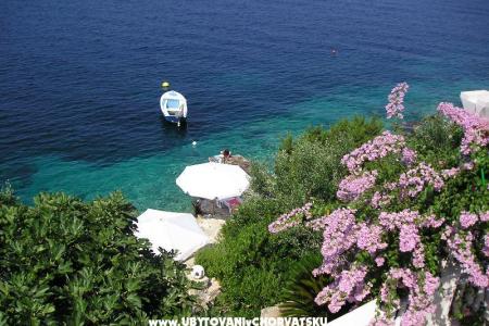 Villa Nell foto 2