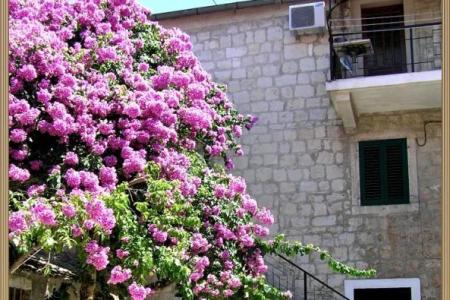 Stress Out Apartment foto 2