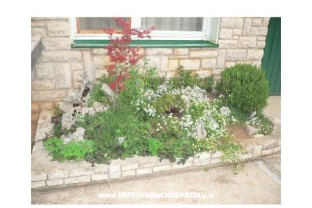 Ferienhaus Goga foto 4