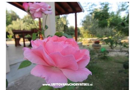 Ferienhaus Dević foto 2