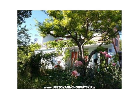 Apartmentt Anđelić foto 2