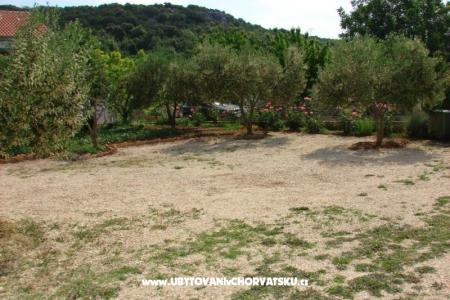 Apartmentt Anđelić foto 5