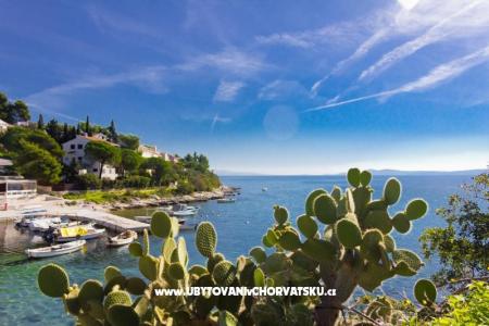 Ferienwohnungen ŠUKI foto 5