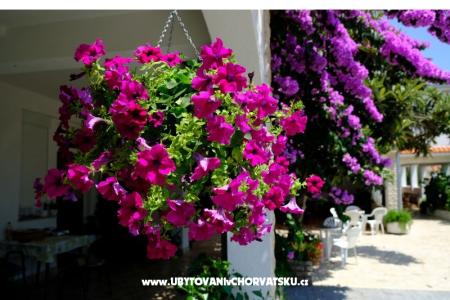 Pension Jeric foto 3
