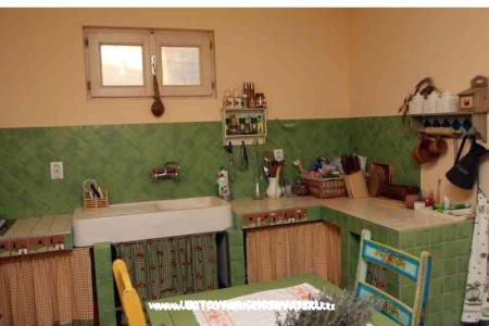 Ferienhaus Buselic foto 4
