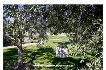 Appartements Benic foto 5