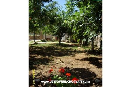 Ferienhaus Villa Jadran foto 5