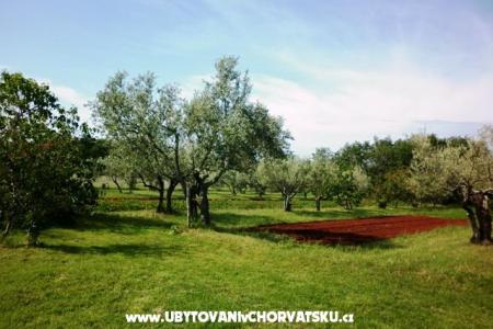 Appartements Linda foto 3