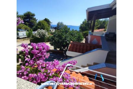 Appartements Delfin Insel Vir Kroatien