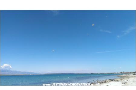 Appartements Alma Insel Vir Kroatien