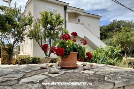 Appartements Budija / Viola Insel Vir Kroatien