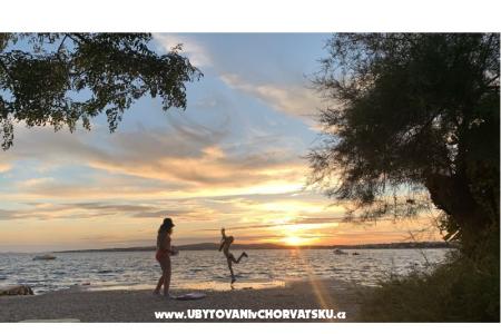 Appartements Dervić  Insel Vir Kroatien