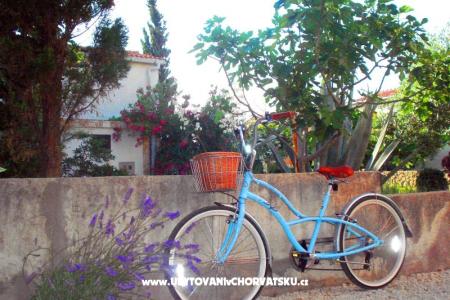 Appartements Peašinović foto 5