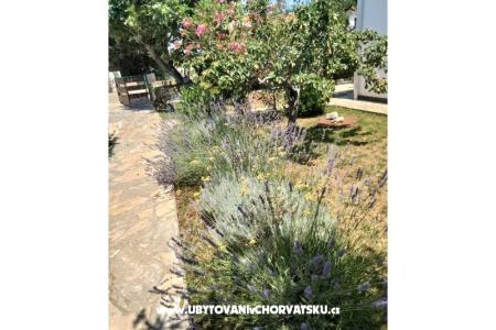 Appartements Budija / Lavanda foto 4