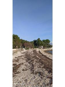 Ferienwohnungen Traum Insel Vir Kroatien