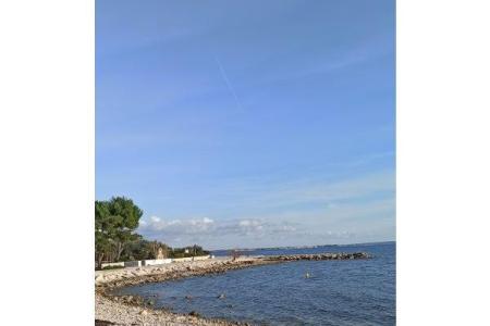 Ferienwohnungen Traum foto 2