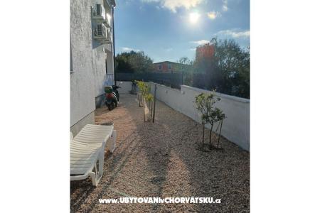 OLIVE RESIDENCE foto 2