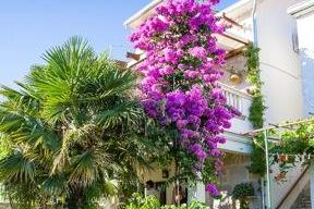 Apartment Gita -Ston Haus foto 2