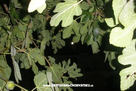 Appartements  Smokva   foto 4