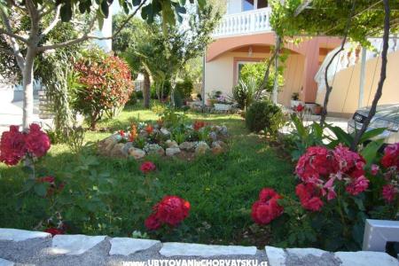 Appartements Ćosić  foto 3