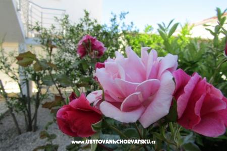 Appartements Kokor foto 4