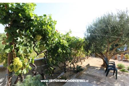 Apartment Radobuljac Vrsi  foto 3