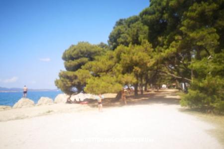 Ferienwohnungen Asea Zadar foto 5