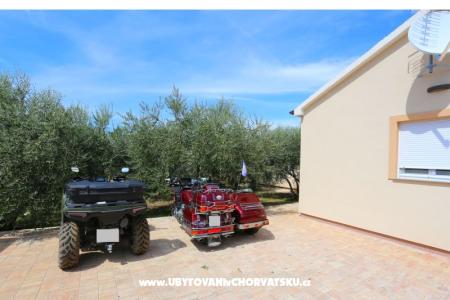 Snježana Zadar Kroatien