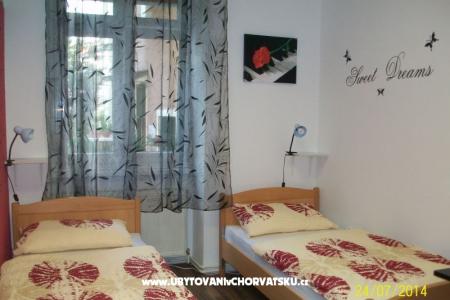 Chameleon hostel foto 3