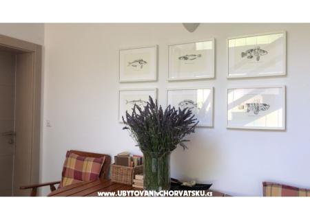 Appartements Jardin foto 4