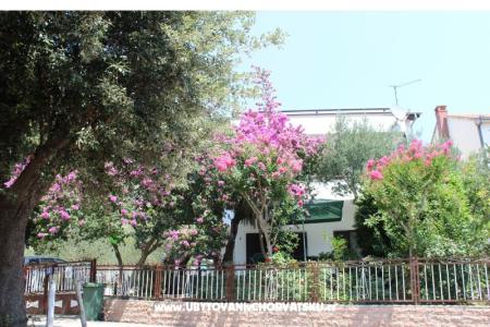 Appartements Vila Filipovic foto 2