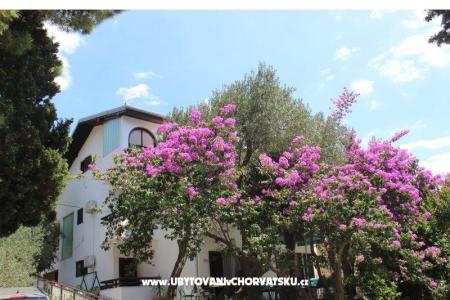 Appartements Vila Filipovic foto 3