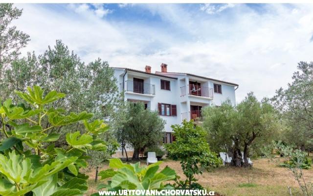 Appartements Amalia Fažana - Unterkunft Fazana Kroatien