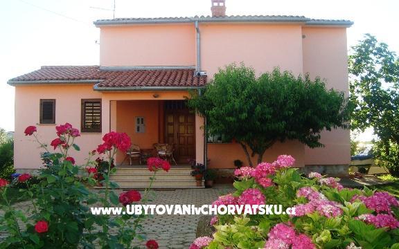 Apartment Buzleta - Unterkunft Fazana Kroatien