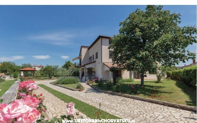 Apartment NIKOLIC - Unterkunft Fazana Kroatien
