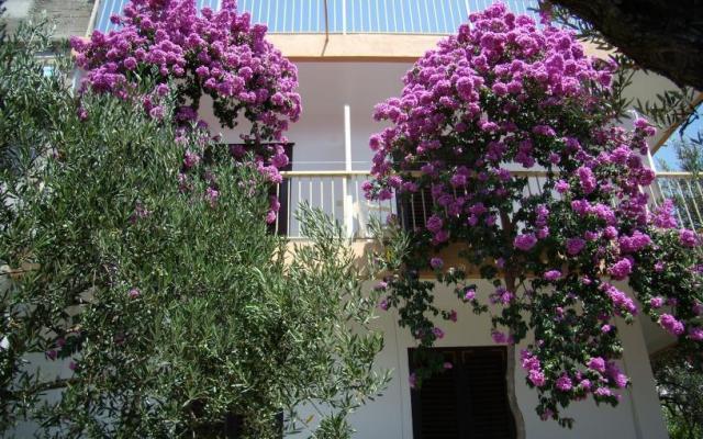 Apartment Gradac Falak - Unterkunft Gradac – Podaca Kroatien