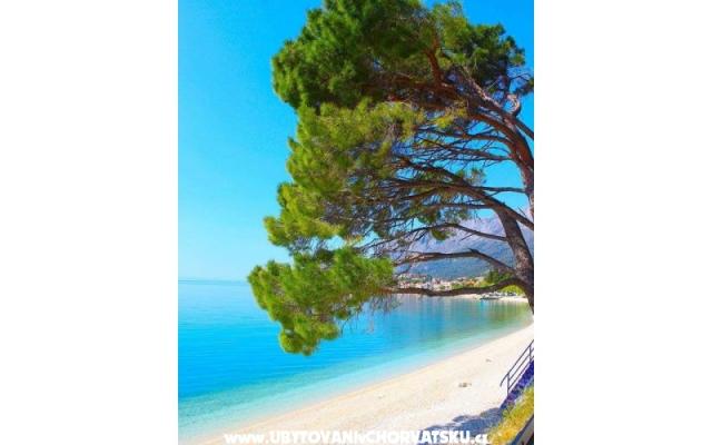 Appartements Helena - Unterkunft Gradac – Podaca Kroatien