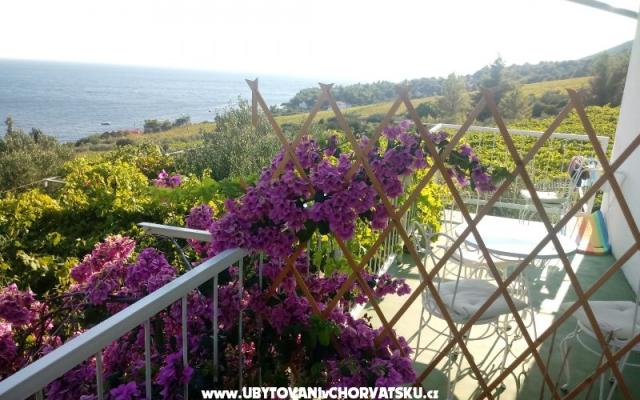 ART AND NATURE  - Unterkunft Insel Hvar Kroatien