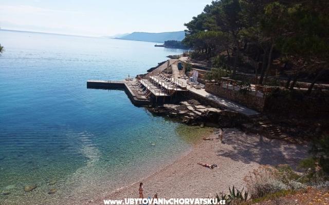 FerienwohnungenNikolinaGrgicevic - Unterkunft Insel Hvar Kroatien