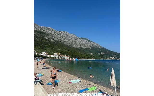 Appartementa LoTe - Unterkunft Igrane Kroatien
